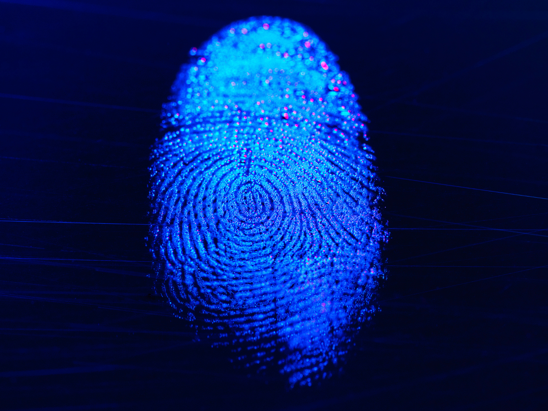 Whorls apart: the genetics of fingerprints — Genetics Unzipped
